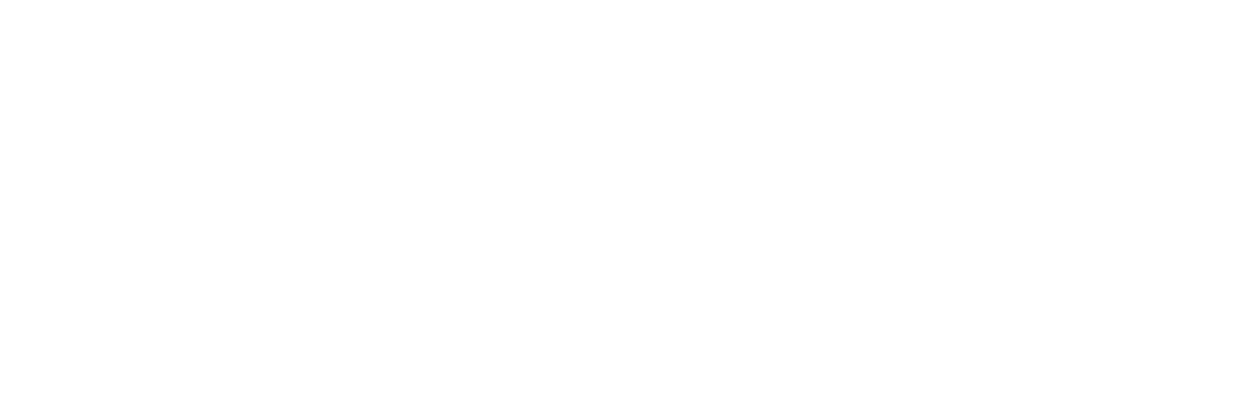 Bricks_Minifigs_Logo_white
