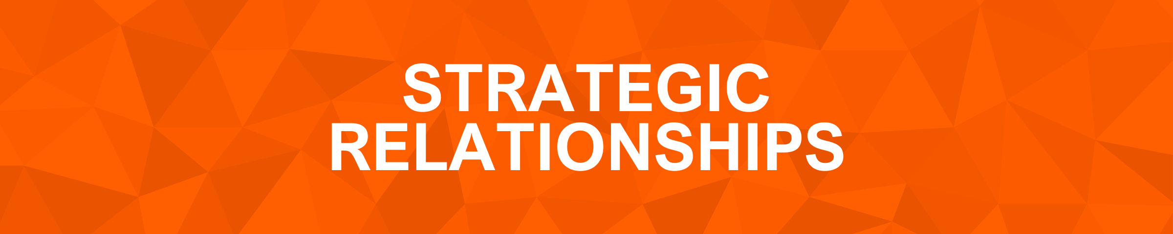 Strategic Relationships Website Header-1 Strategic Relationships Website Header-1