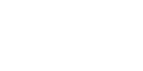 garage force logo_white