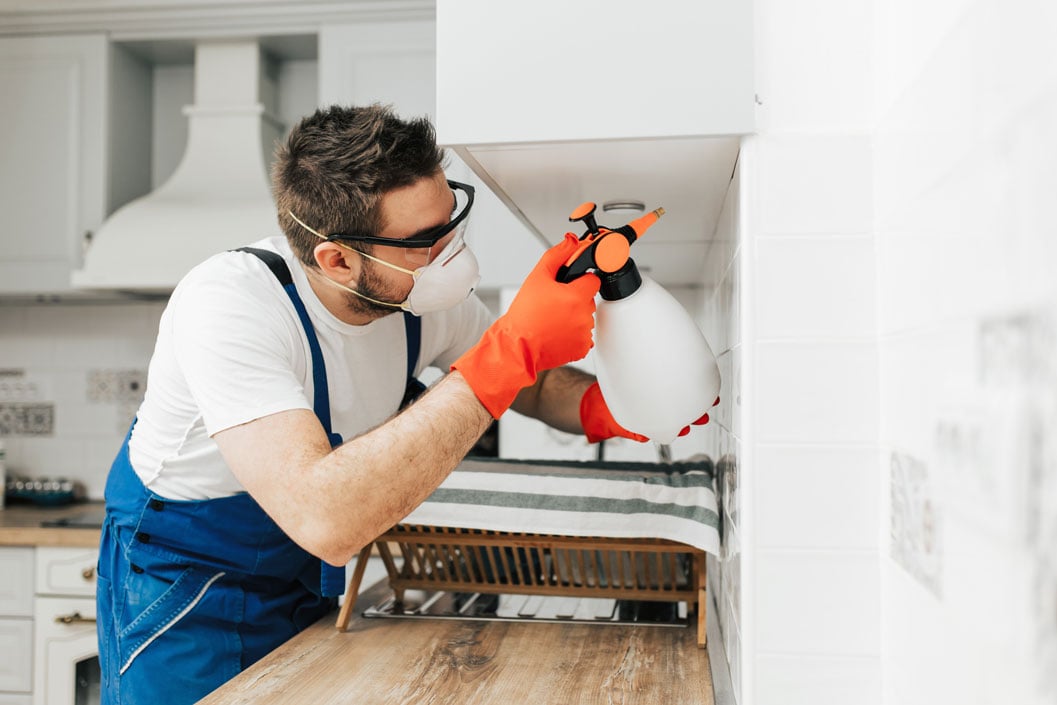 Man sprays kitchen for pests