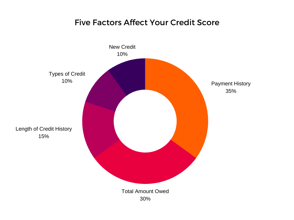 Pie Chart - 5 factors affect credit score